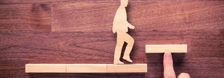 Formación y Desarrollo Profesional: